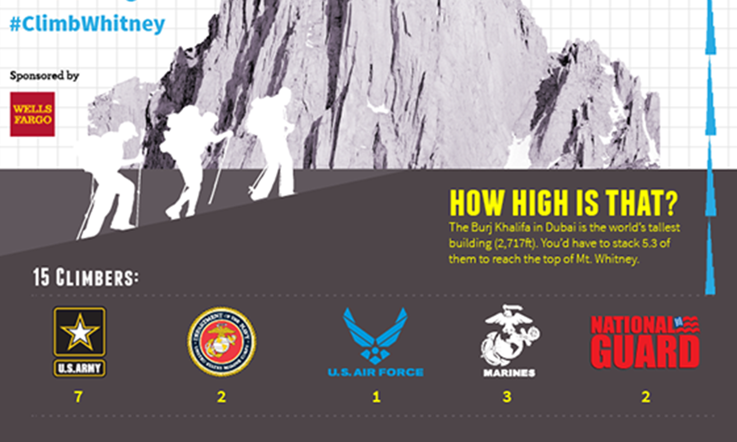 Infographic showing military branch breakdown of the team