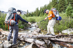 Team members Stuart and Diggs work together to cross a creek